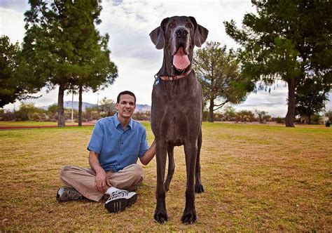 maior pnis humano do mundo|Homem com maior pênis do mundo revela impacto。